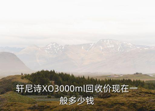 轩尼诗XO3000ml回收价现在一般多少钱