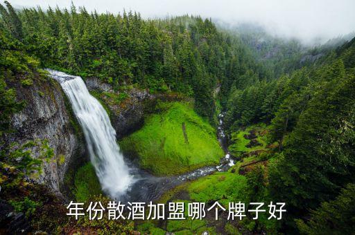 年份散酒加盟哪个牌子好