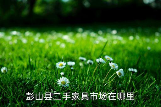 彭山县二手家具市场在哪里