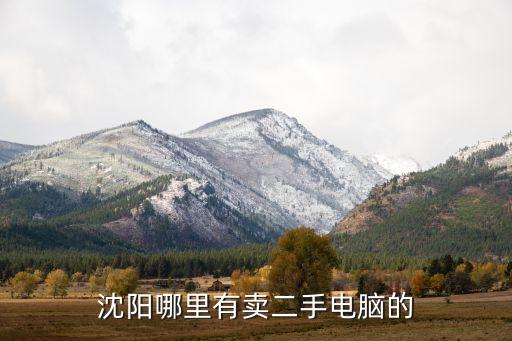 沈阳哪里有卖二手电脑的
