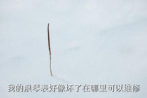 我的浪琴表好像坏了在哪里可以维修