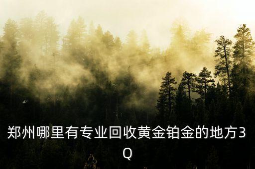 郑州哪里有专业回收黄金铂金的地方3Q