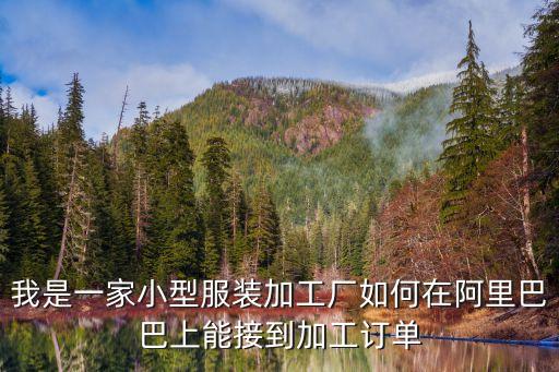 我是一家小型服装加工厂如何在阿里巴巴上能接到加工订单