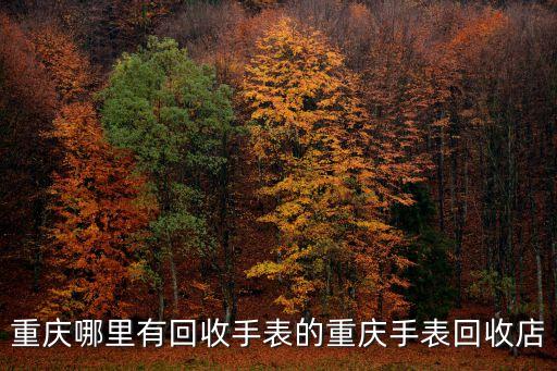 二手回收手表店铺，重庆哪里有回收手表的重庆手表回收店