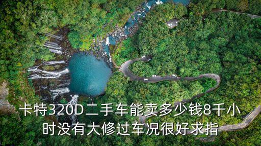 二手卡特336挖掘机转让，卡特345D大型大概多少钱