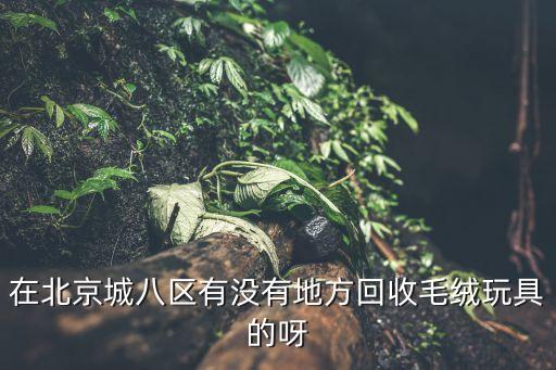 在北京城八区有没有地方回收毛绒玩具的呀