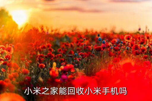 小米之家能回收小米手机吗