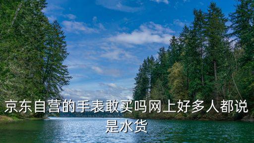 京东二手手表95新可以买吗，美利达二手勇士300 800元有95新能买么