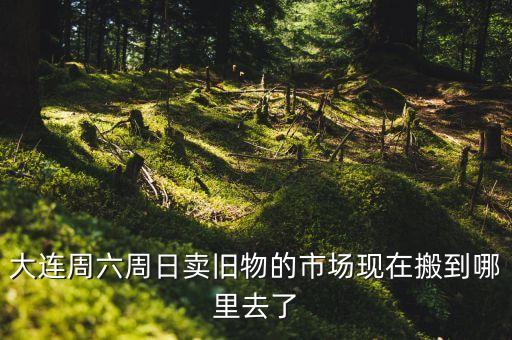 大连旧货市场搬到哪里，大连旧货跳蚤市场现在搬哪里了