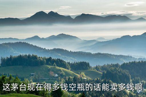 这茅台现在得多钱空瓶的话能卖多钱啊