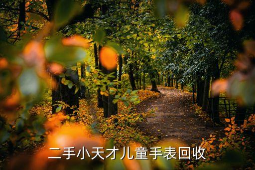 二手小天才儿童手表回收