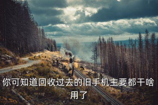 你可知道回收过去的旧手机主要都干啥用了