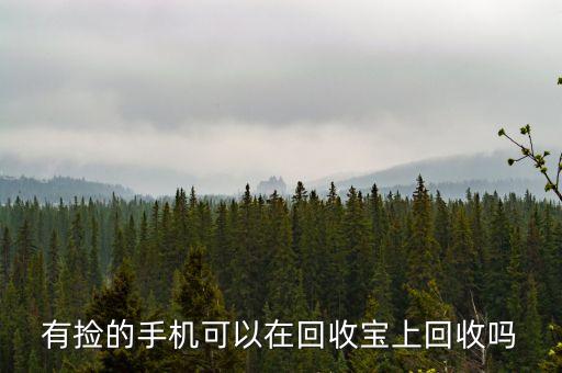 有捡的手机可以在回收宝上回收吗