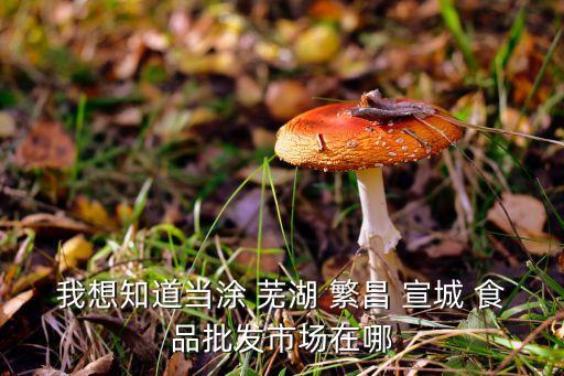 宣城批发饮料的地方在哪里，宣城休闲食品的批发市场在哪