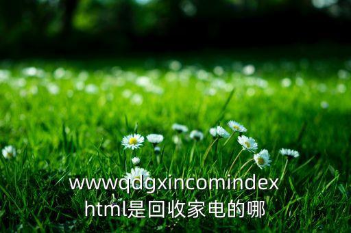 wwwqdgxincomindexhtml是回收家电的哪