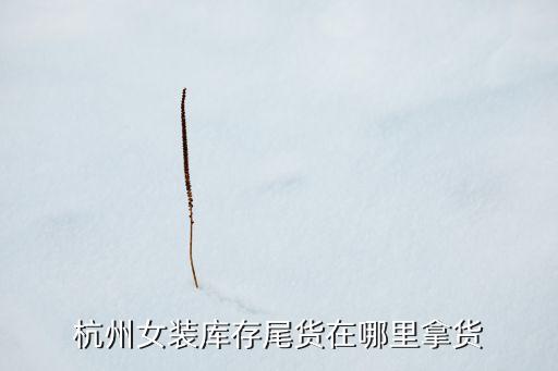 杭州女装库存尾货在哪里拿货