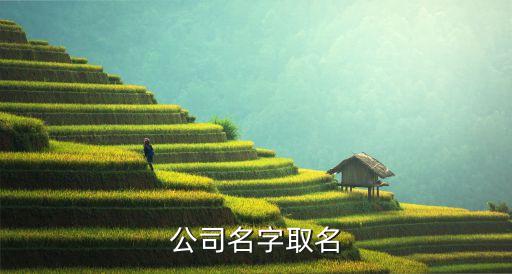 公司名称免费起名，免费公司取名大全