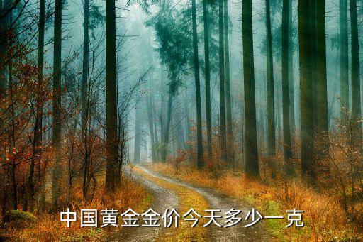 中国黄金金价今天多少一克