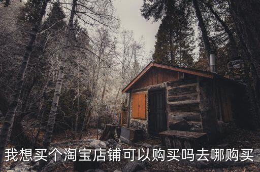 我想买个淘宝店铺可以购买吗去哪购买