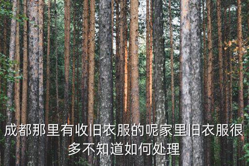 成都那里有收旧衣服的呢家里旧衣服很多不知道如何处理