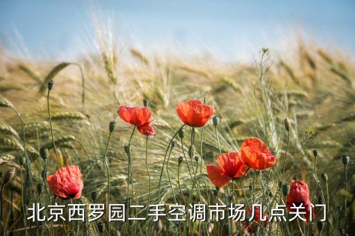 北京最大二手电器市场，北京哪里有旧电子市场
