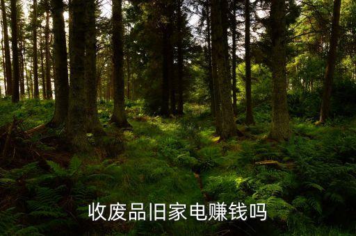58旧家电回收怎么样赚钱吗，收废品旧家电赚钱吗