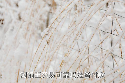 淘铺王交易可靠吗准备付款