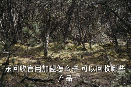 乐回收官网加盟怎么样 可以回收哪些产品