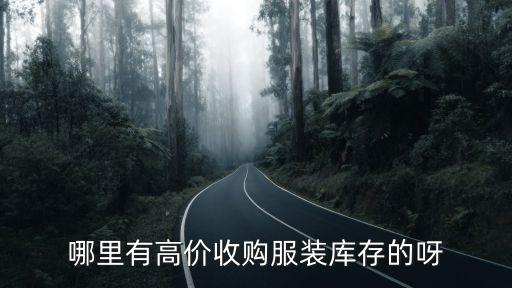 哪里有高价收购服装库存的呀