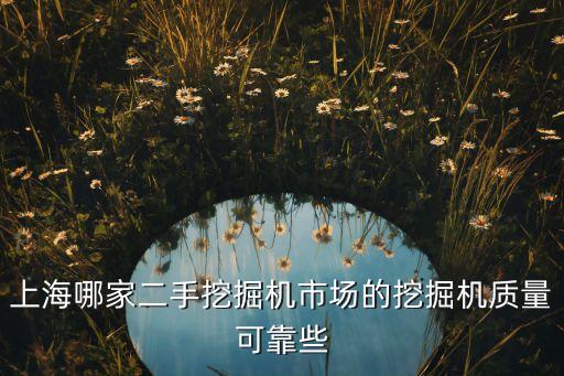 上海哪家二手挖掘机市场的挖掘机质量可靠些