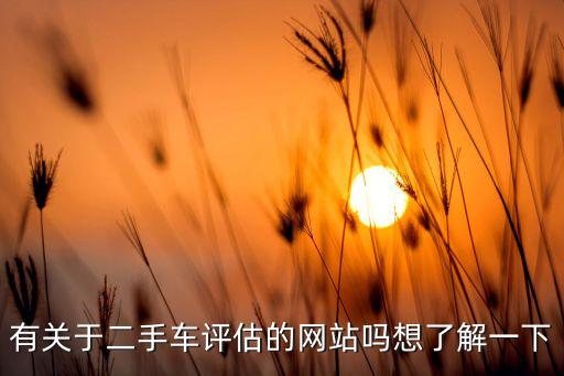 有关于二手车评估的网站吗想了解一下