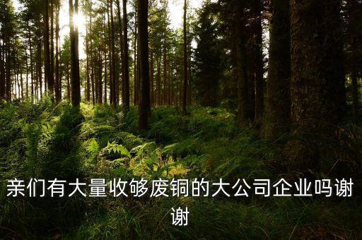 亲们有大量收够废铜的大公司企业吗谢谢