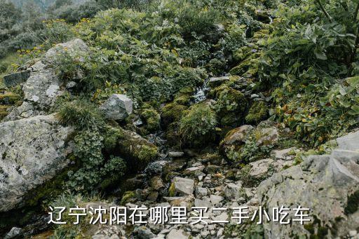 辽宁沈阳在哪里买二手小吃车