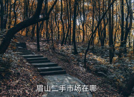 眉山二手家具旧货市场，眉山二手市场在哪