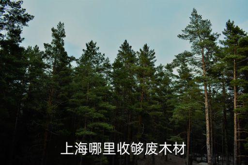 上海哪里收够废木材