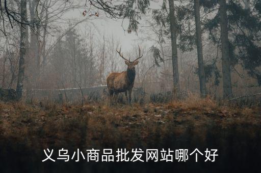 义乌小商品批发网站哪个好