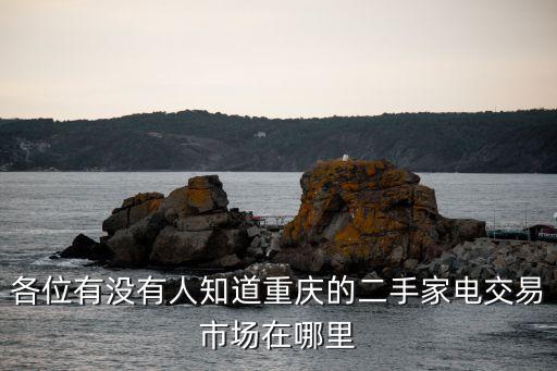 各位有没有人知道重庆的二手家电交易市场在哪里