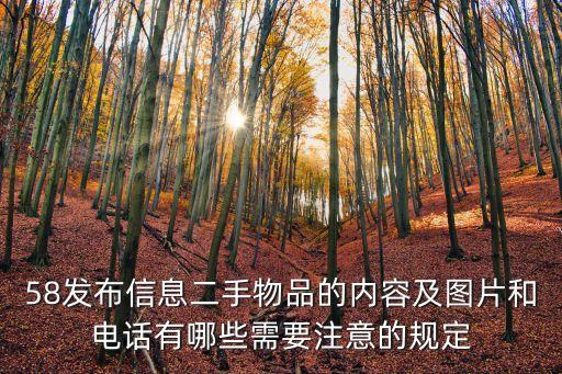 58发布信息二手物品的内容及图片和电话有哪些需要注意的规定