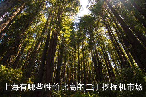 上海有哪些性价比高的二手挖掘机市场