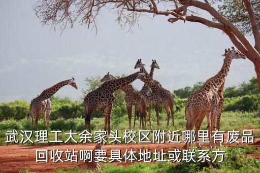 武汉理工大余家头校区附近哪里有废品回收站啊要具体地址或联系方