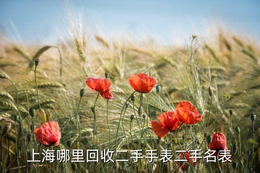 上海哪里回收二手手表二手名表