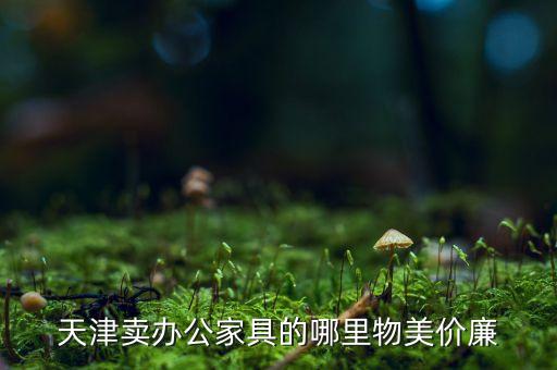 天津卖办公家具的哪里物美价廉