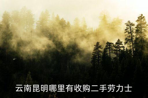 昆明回收手表，昆明哪里回收二手百达翡丽名表