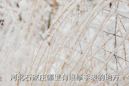 河北石家庄哪里有维修手表的地方