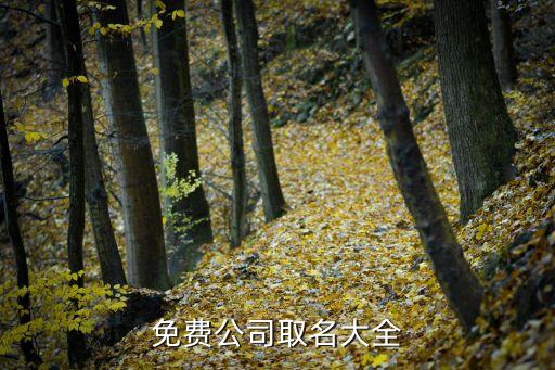 免费公司取名大全