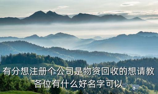有分想注册个公司是物资回收的想请教各位有什么好名字可以