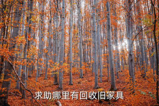 求助哪里有回收旧家具