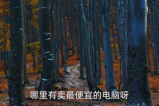 哪里有卖最便宜的电脑呀