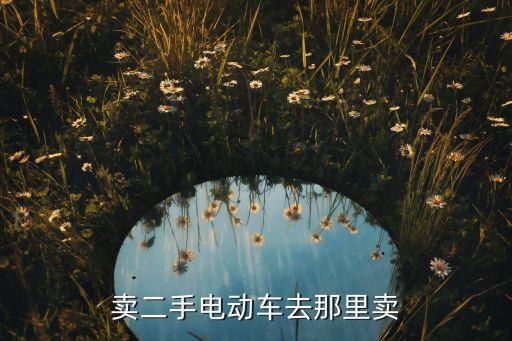卖二手电动车去那里卖