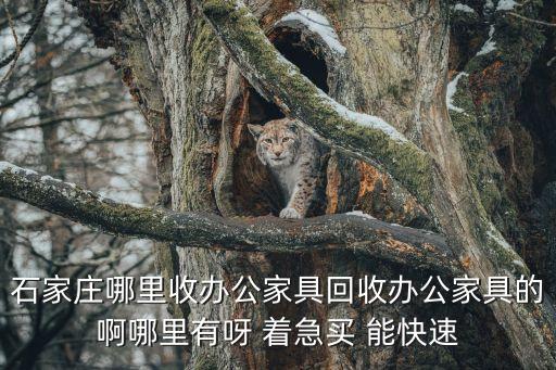 石家庄哪里收办公家具回收办公家具的啊哪里有呀 着急买 能快速